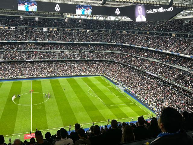 1741565567808091273.jpg 3.jpg